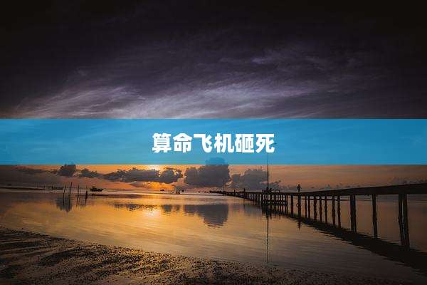 算命飞机砸死