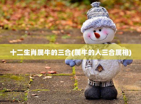 十二生肖属牛的三合(属牛的人三合属相)