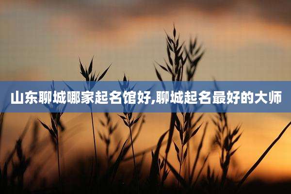 山东聊城哪家起名馆好,聊城起名最好的大师