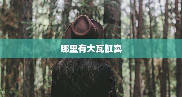 哪里有大瓦缸卖