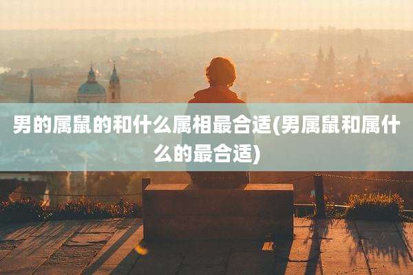男的属鼠的和什么属相最合适(男属鼠和属什么的最合适)