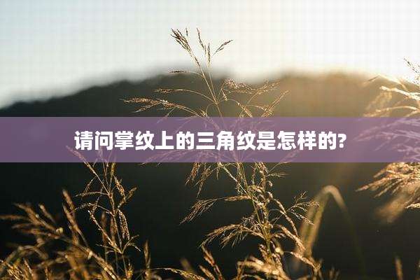请问掌纹上的三角纹是怎样的?