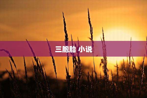 三胞胎 小说