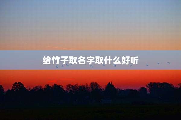 给竹子取名字取什么好听