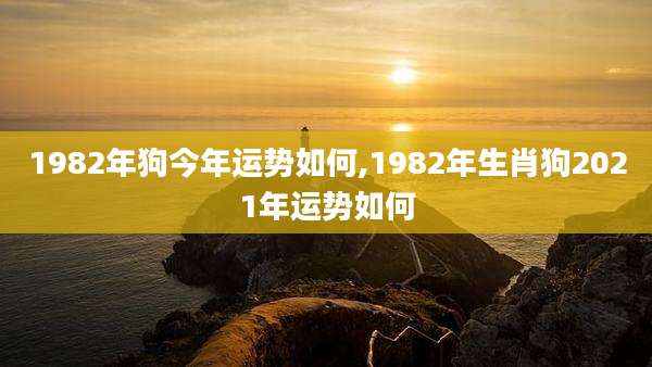 1982年狗今年运势如何,1982年生肖狗2021年运势如何
