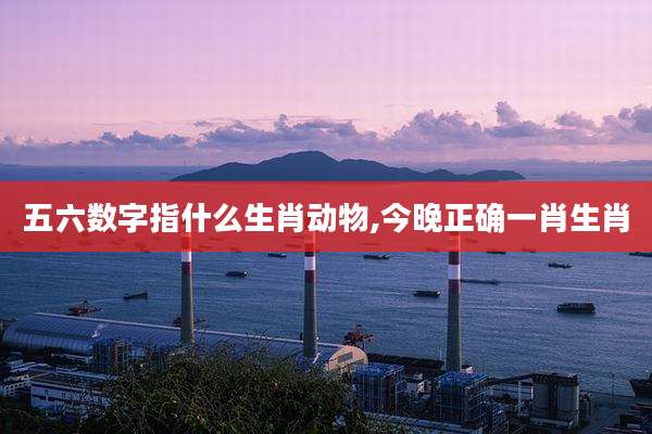 五六数字指什么生肖动物,今晚正确一肖生肖