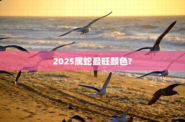 2025属蛇最旺颜色?