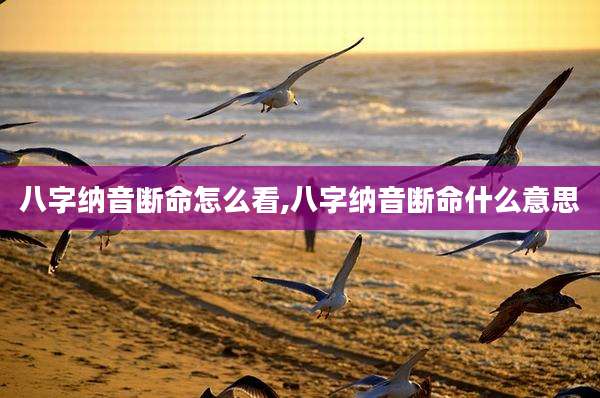 八字纳音断命怎么看,八字纳音断命什么意思