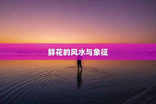 鲜花的风水与象征