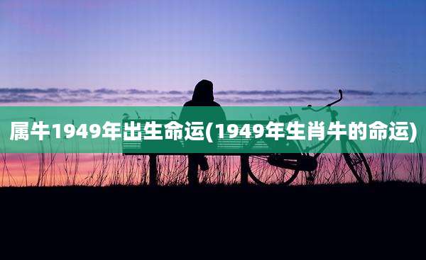 属牛1949年出生命运(1949年生肖牛的命运)