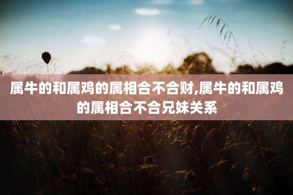 属牛的和属鸡的属相合不合财,属牛的和属鸡的属相合不合兄妹关系