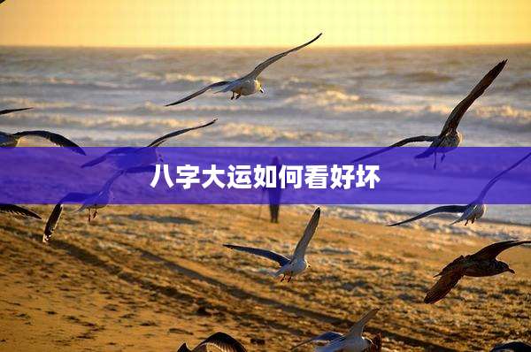 八字大运如何看好坏
