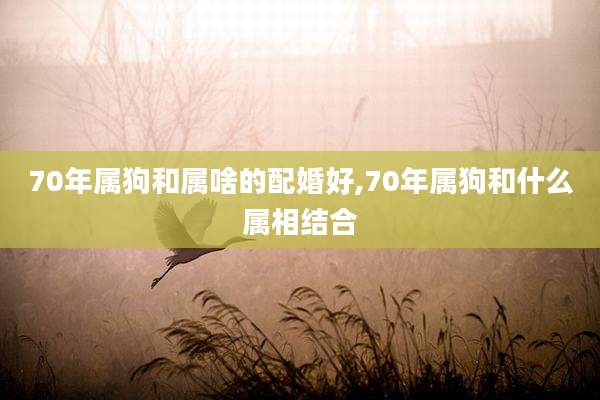 70年属狗和属啥的配婚好,70年属狗和什么属相结合