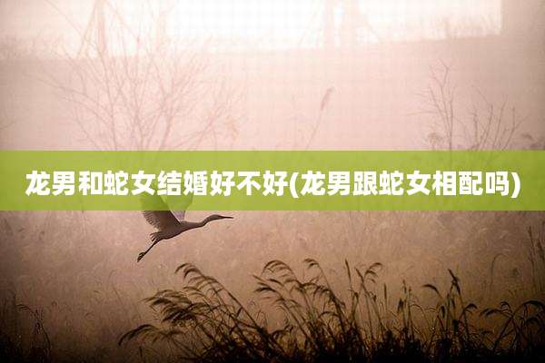 龙男和蛇女结婚好不好(龙男跟蛇女相配吗)