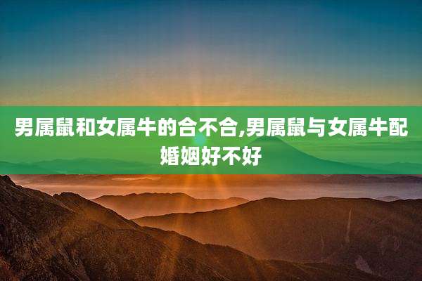 男属鼠和女属牛的合不合,男属鼠与女属牛配婚姻好不好