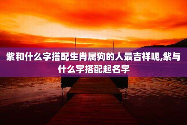 紫和什么字搭配生肖属狗的人最吉祥呢,紫与什么字搭配起名字