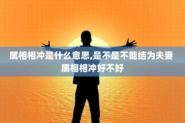 属相相冲是什么意思,是不是不能结为夫妻 属相相冲好不好