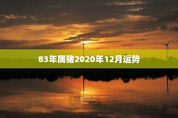 83年属猪2020年12月运势