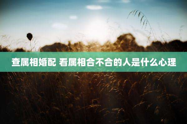查属相婚配 看属相合不合的人是什么心理