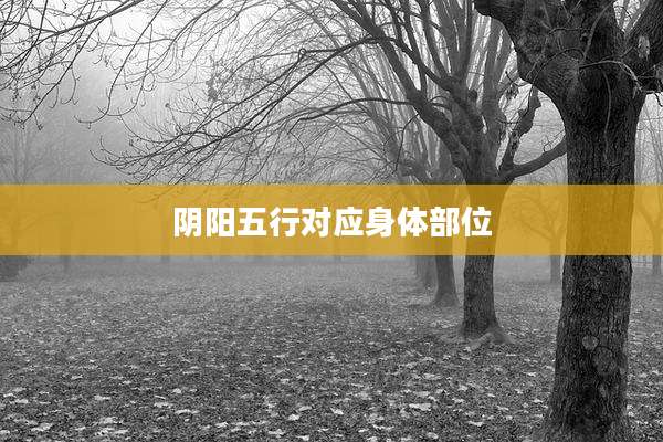 阴阳五行对应身体部位