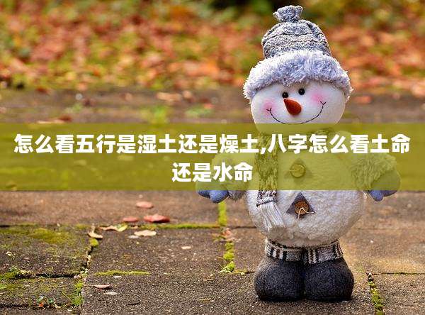 怎么看五行是湿土还是燥土,八字怎么看土命还是水命