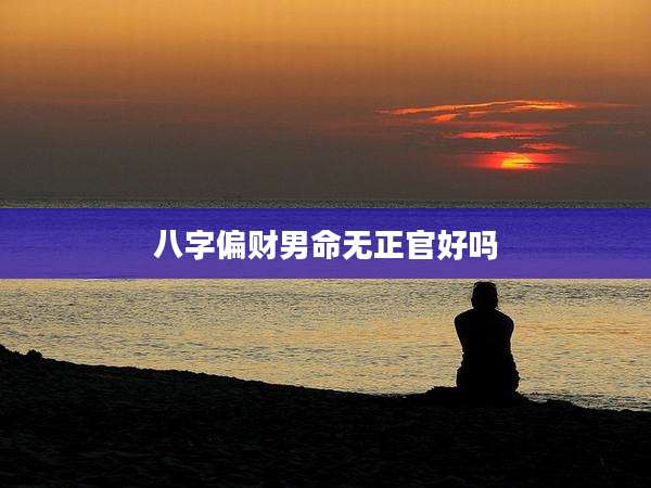 八字偏财男命无正官好吗
