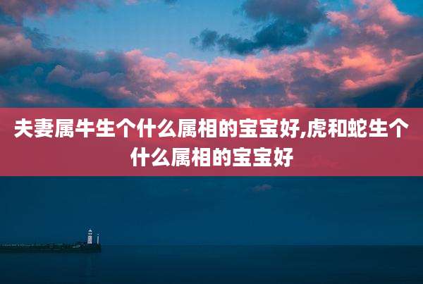 夫妻属牛生个什么属相的宝宝好,虎和蛇生个什么属相的宝宝好