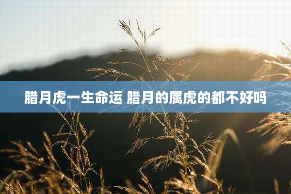 腊月虎一生命运 腊月的属虎的都不好吗