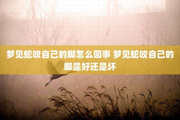 梦见蛇咬自己的脚怎么回事 梦见蛇咬自己的脚是好还是坏