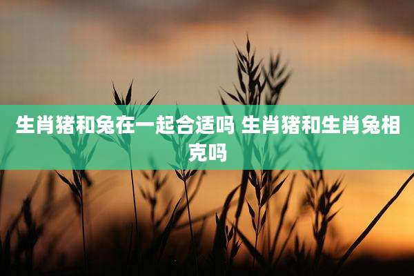 生肖猪和兔在一起合适吗 生肖猪和生肖兔相克吗