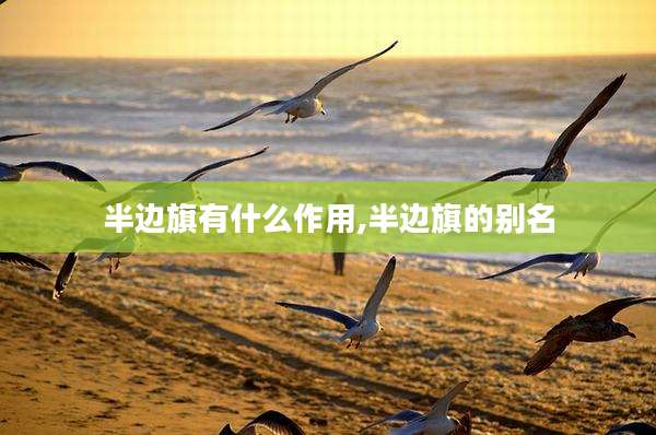 半边旗有什么作用,半边旗的别名