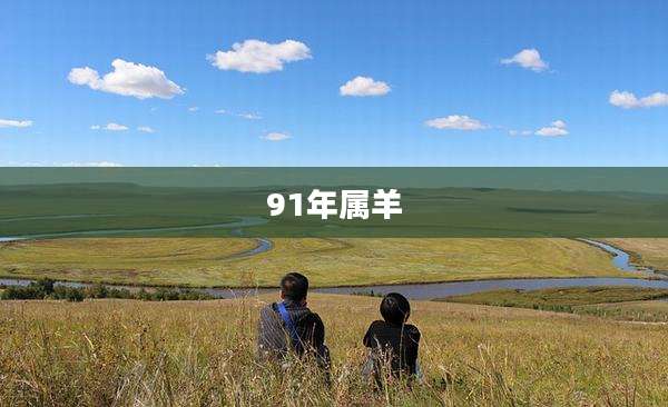 91年属羊
