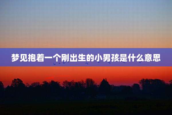 梦见抱着一个刚出生的小男孩是什么意思
