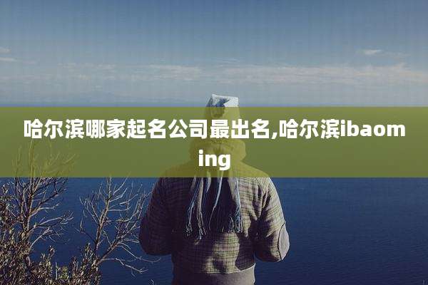 哈尔滨哪家起名公司最出名,哈尔滨ibaoming