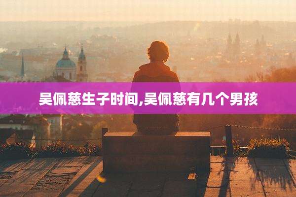 吴佩慈生子时间,吴佩慈有几个男孩