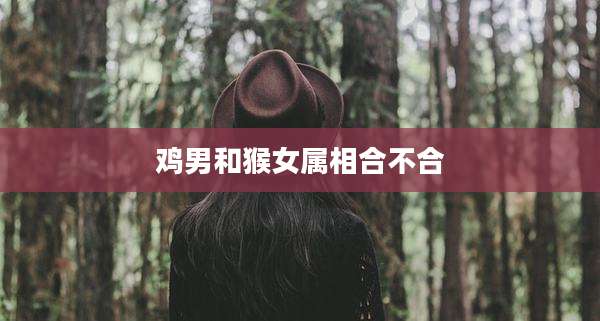 鸡男和猴女属相合不合