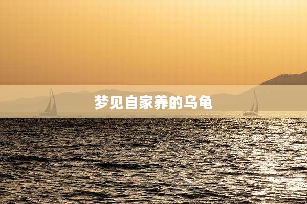 梦见自家养的乌龟