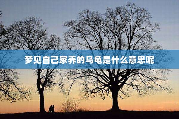 梦见自己家养的乌龟是什么意思呢