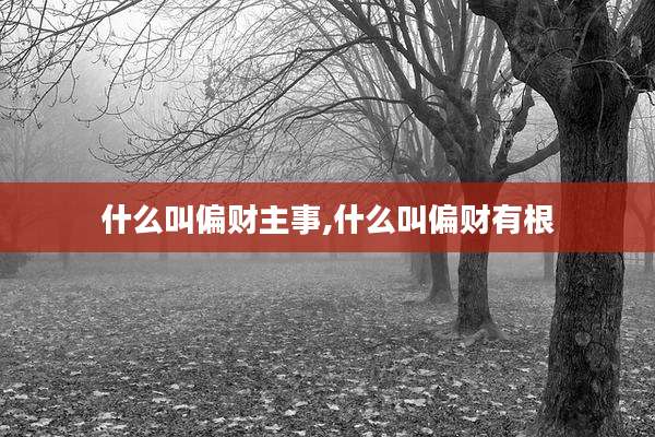 什么叫偏财主事,什么叫偏财有根