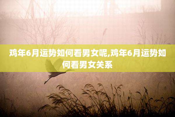 鸡年6月运势如何看男女呢,鸡年6月运势如何看男女关系