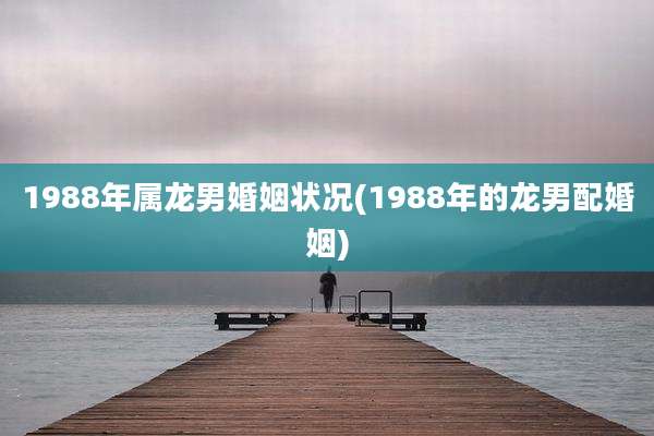 1988年属龙男婚姻状况(1988年的龙男配婚姻)