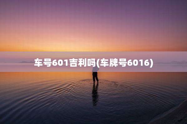 车号601吉利吗(车牌号6016)