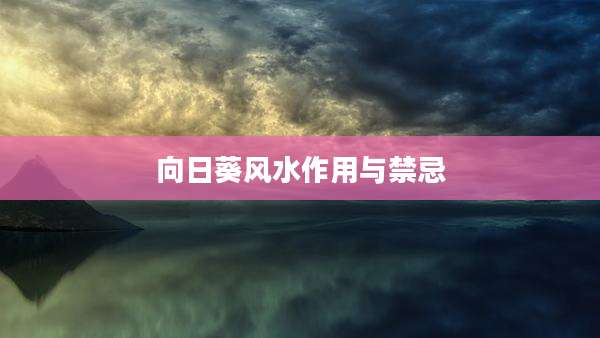 向日葵风水作用与禁忌