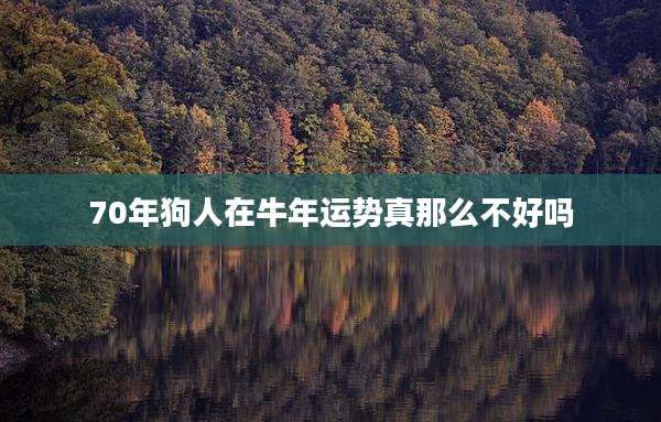 70年狗人在牛年运势真那么不好吗