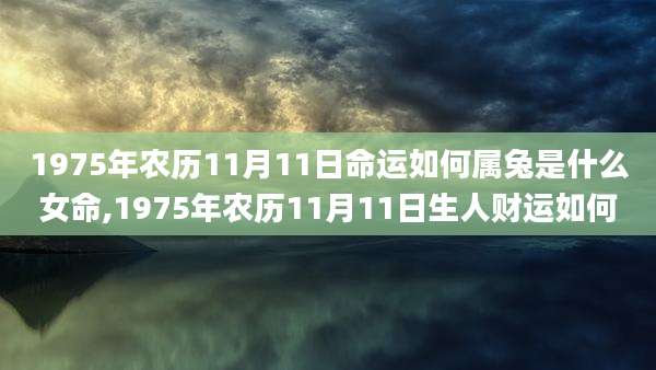 1975年农历11月11日命运如何属兔是什么女命,1975年农历11月11日生人财运如何