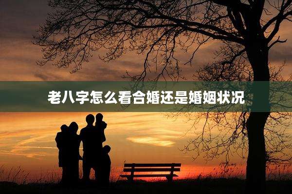 老八字怎么看合婚还是婚姻状况