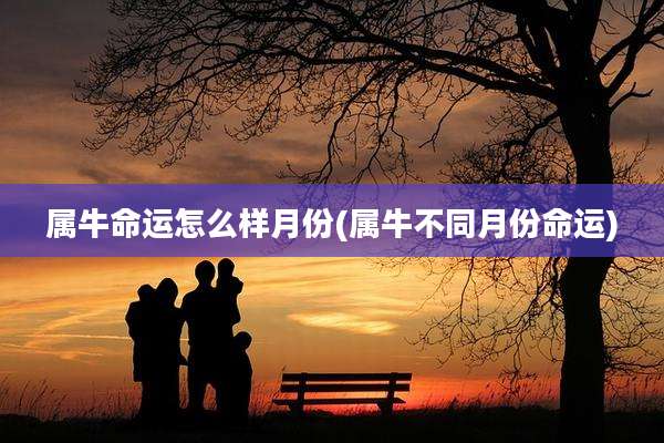 属牛命运怎么样月份(属牛不同月份命运)
