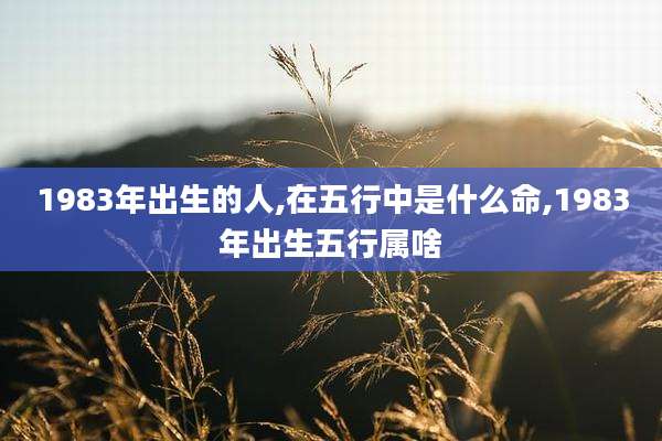 1983年出生的人,在五行中是什么命,1983年出生五行属啥