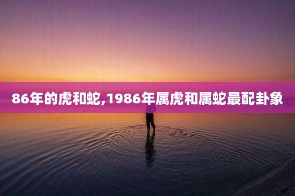 86年的虎和蛇,1986年属虎和属蛇最配卦象