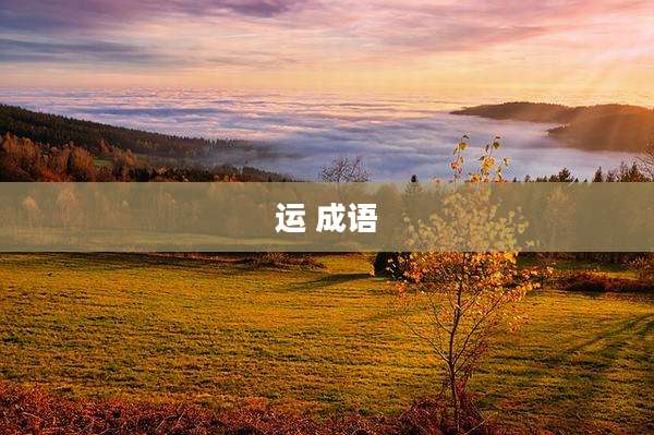 运 成语
